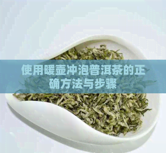 使用暖壶冲泡普洱茶的正确方法与步骤