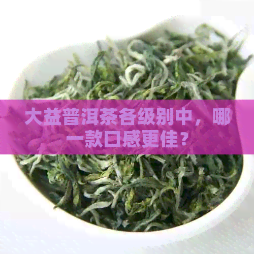 大益普洱茶各级别中，哪一款口感更佳？