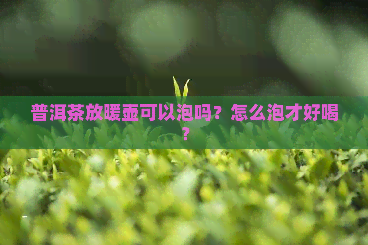 普洱茶放暖壶可以泡吗？怎么泡才好喝？