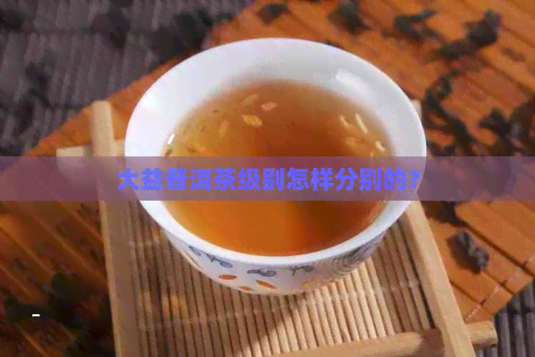 大益普洱茶级别怎样分别的？