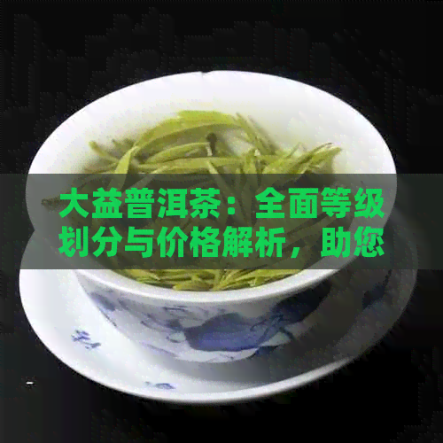 大益普洱茶：全面等级划分与价格解析，助您轻松选购高品质茶叶