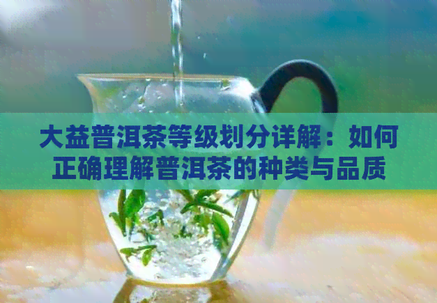 大益普洱茶等级划分详解：如何正确理解普洱茶的种类与品质