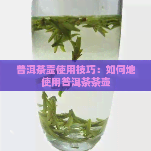 普洱茶壶使用技巧：如何地使用普洱茶茶壶