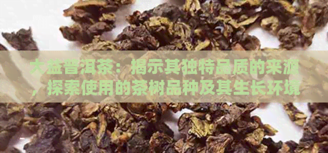 大益普洱茶：揭示其独特品质的来源，探索使用的茶树品种及其生长环境