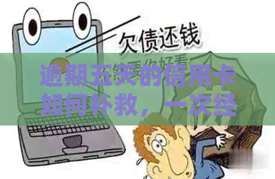 逾期五天的信用卡如何补救，一次经历教你怎么办