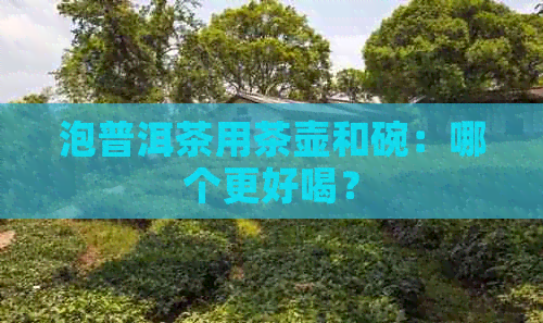 泡普洱茶用茶壶和碗：哪个更好喝？