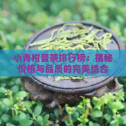 小青柑普茶排行榜：揭秘价格与品质的完美结合