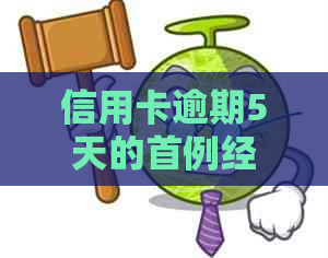 信用卡逾期5天的首例经历及其影响