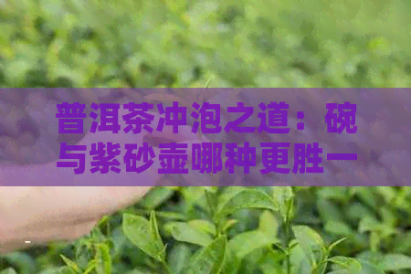 普洱茶冲泡之道：碗与紫砂壶哪种更胜一筹？