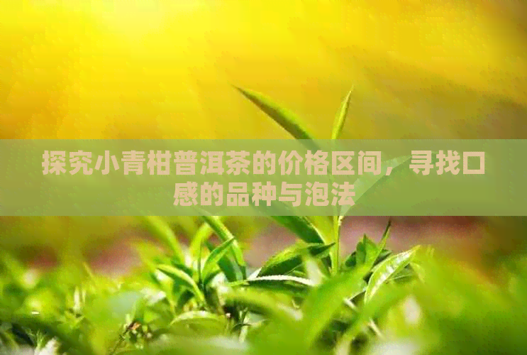 探究小青柑普洱茶的价格区间，寻找口感的品种与泡法