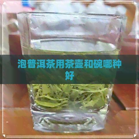 泡普洱茶用茶壶和碗哪种好