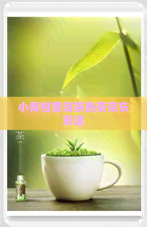 小青柑普洱茶熟茶京东京造