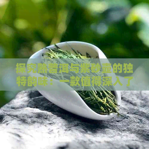 探究熟普洱与紫砂壶的独特韵味：一款值得深入了解的茶具组合