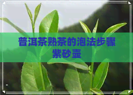 普洱茶熟茶的泡法步骤紫砂壶