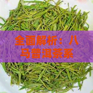 全面解析：八马普洱茶系列产品，探寻各大及其特色