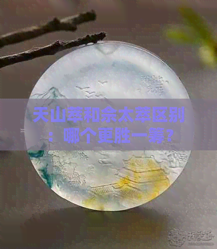 天山萃和佘太萃区别：哪个更胜一筹？