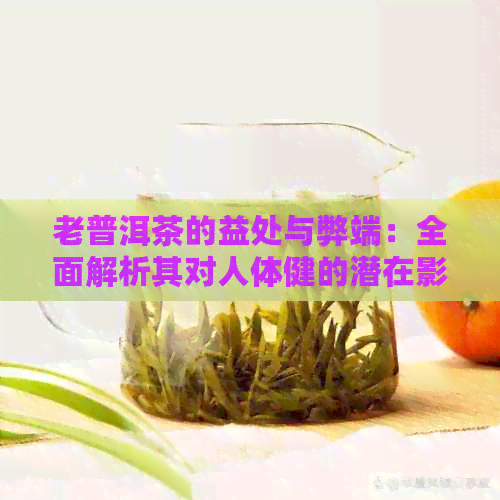 老普洱茶的益处与弊端：全面解析其对人体健的潜在影响