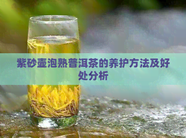 紫砂壶泡熟普洱茶的养护方法及好处分析