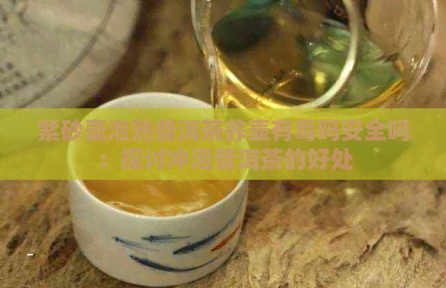 紫砂壶泡熟普洱茶养壶有吗安全吗：探讨冲泡普洱茶的好处