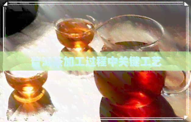 普洱茶加工过程中关键工艺