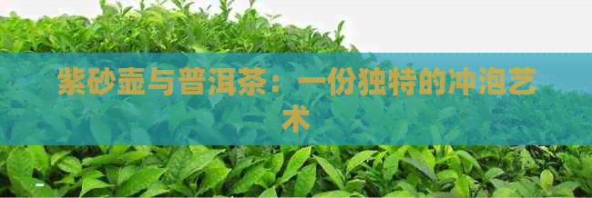 紫砂壶与普洱茶：一份独特的冲泡艺术