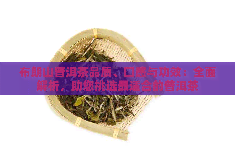 布朗山普洱茶品质、口感与功效：全面解析，助您挑选最适合的普洱茶