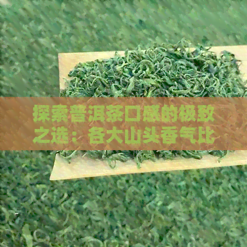 探索普洱茶口感的极致之选：各大山头香气比较