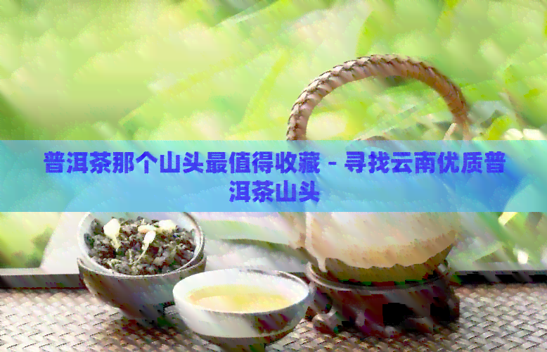 普洱茶那个山头最值得收藏 - 寻找云南优质普洱茶山头