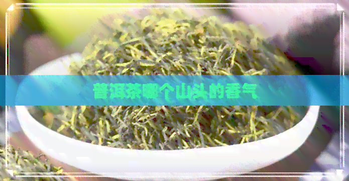 普洱茶哪个山头的香气