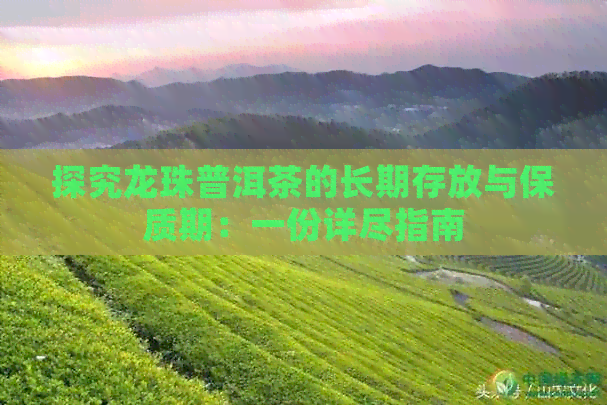 探究龙珠普洱茶的长期存放与保质期：一份详尽指南