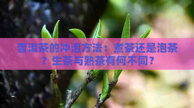 普洱茶的冲泡方法：煮茶还是泡茶？生茶与熟茶有何不同？