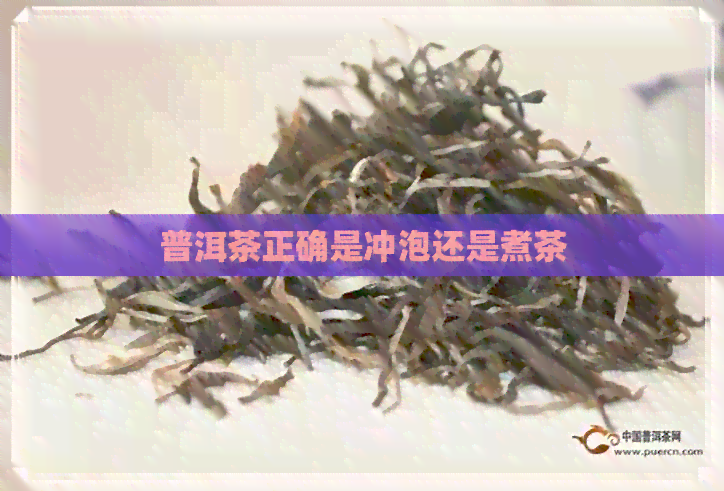 普洱茶正确是冲泡还是煮茶