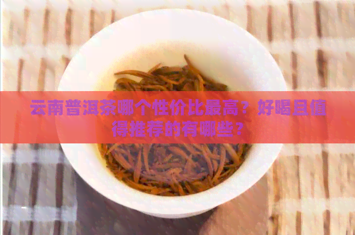 云南普洱茶哪个性价比更高？好喝且值得推荐的有哪些？