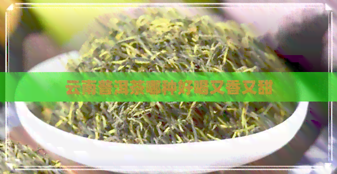 云南普洱茶哪种好喝又香又甜