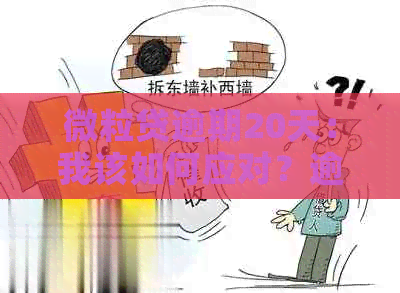 微粒贷逾期20天：我该如何应对？逾期后果是什么？如何解决？