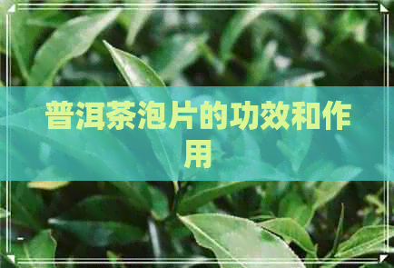 普洱茶泡片的功效和作用