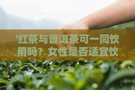 '红茶与普洱茶可一同饮用吗？女性是否适宜饮用？每日适量是多少？'