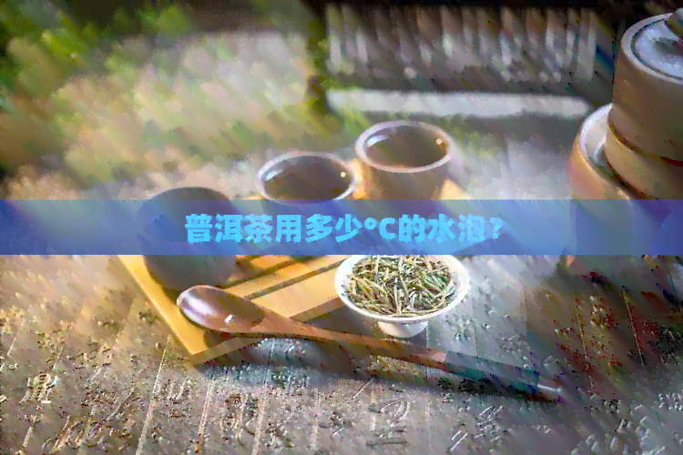 普洱茶用多少°C的水泡？