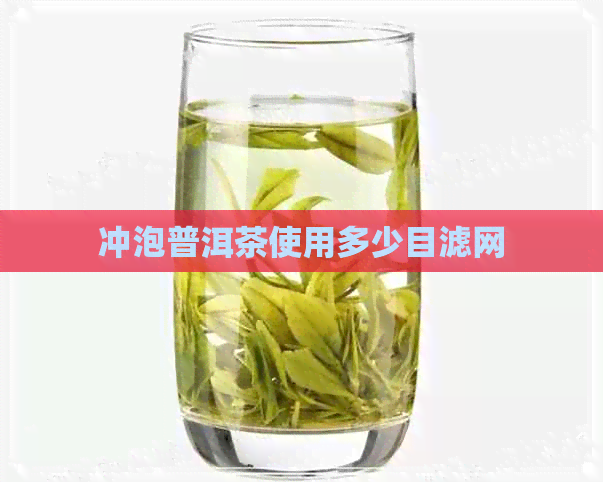 冲泡普洱茶使用多少目滤网