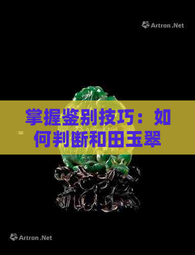 掌握鉴别技巧：如何判断和田玉翠青的真伪与质量