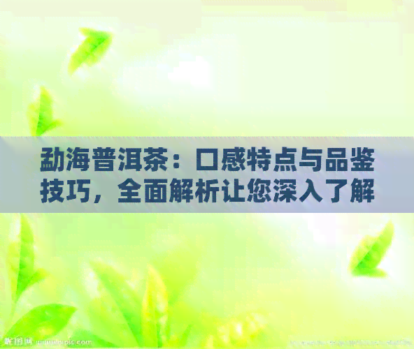 勐海普洱茶：口感特点与品鉴技巧，全面解析让您深入了解这款云南名茶