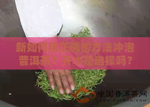 新如何用正确的方法冲泡普洱茶？开水是选择吗？