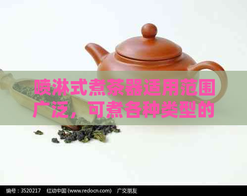 喷淋式煮茶器适用范围广泛，可煮各种类型的茶叶，如何正确选择与使用？