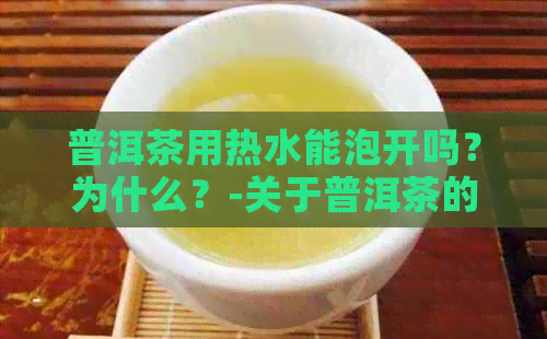 普洱茶用热水能泡开吗？为什么？-关于普洱茶的冲泡方法