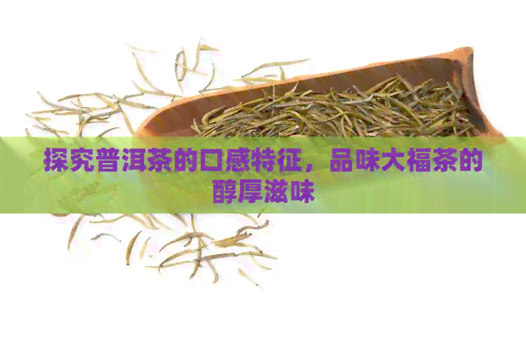 探究普洱茶的口感特征，品味大福茶的醇厚滋味