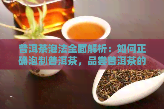 普洱茶泡法全面解析：如何正确泡制普洱茶，品尝普洱茶的技巧和注意事项