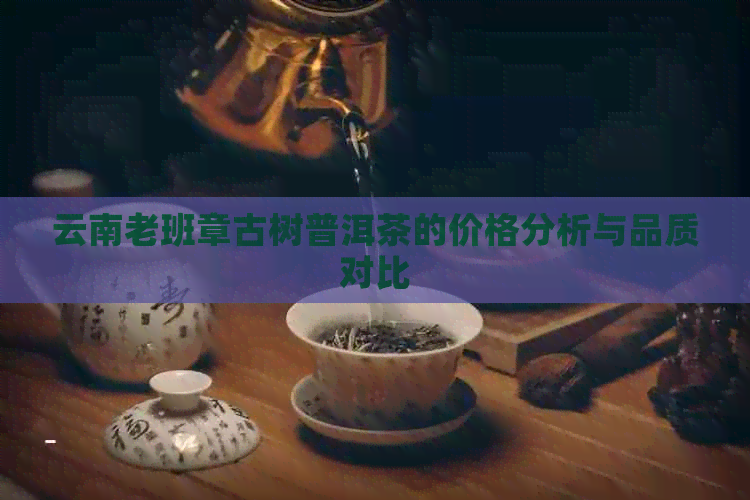 云南老班章古树普洱茶的价格分析与品质对比