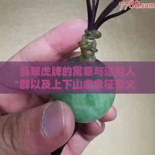 翡翠虎牌的寓意与适用人群以及上下山虎象征意义——探讨翡翠虎牌的文化内涵