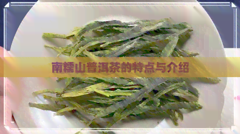 南糯山普洱茶的特点与介绍