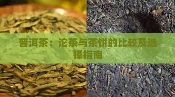 普洱茶：沱茶与茶饼的比较及选择指南